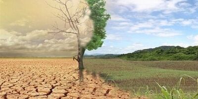  هر سال ۱ میلیون هکتار خاک ایران بیابان می‌شود 