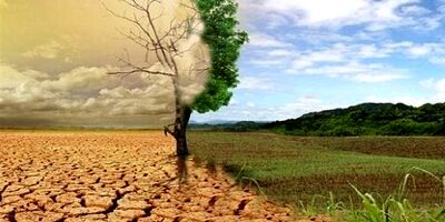  هر سال ۱ میلیون هکتار خاک ایران بیابان می‌شود 