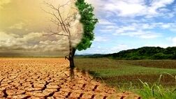  هر سال ۱ میلیون هکتار خاک ایران بیابان می‌شود 