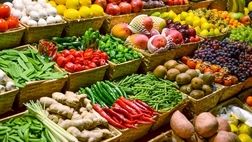 افزایش ۱۰ درصدی صادرات بخش کشاورزی 