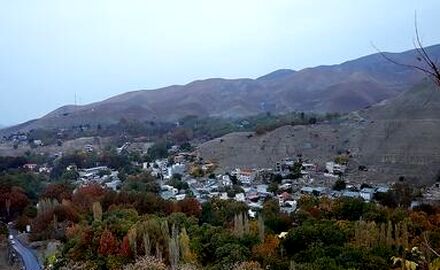 thm_18560271_445