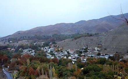 thm_18560271_445