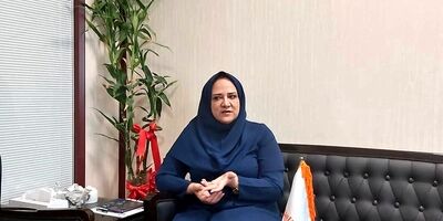 بانکداری الکترونیک در نظام بانکی مزیت رقابتی ندارد