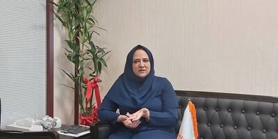 بانکداری الکترونیک در نظام بانکی مزیت رقابتی ندارد