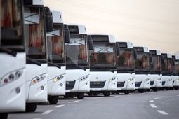 واردات ۲۰۰۰ دستگاه اتوبوس برای ایام اربعین