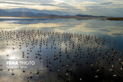 63316338_DJI_0175-copy