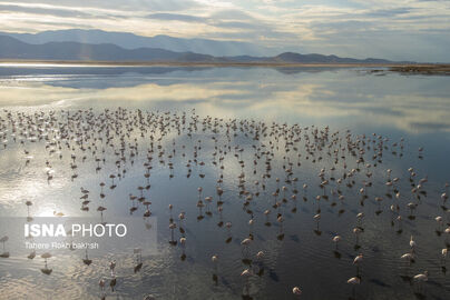 63316338_DJI_0175-copy