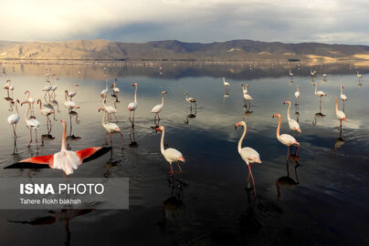 63316247_DJI_0044-copy