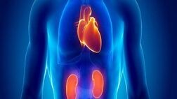 آسیب کلیوی ریسک بیماری قلبی را افزایش می دهد