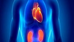 آسیب کلیوی ریسک بیماری قلبی را افزایش می دهد