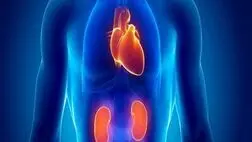 آسیب کلیوی ریسک بیماری قلبی را افزایش می دهد