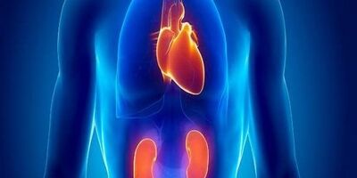 آسیب کلیوی ریسک بیماری قلبی را افزایش می دهد