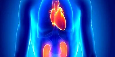 آسیب کلیوی ریسک بیماری قلبی را افزایش می دهد