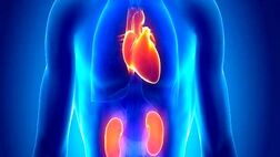 آسیب کلیوی ریسک بیماری قلبی را افزایش می دهد