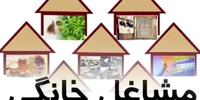 پرداخت 2هزار میلیارد تومان تسهیلات قرض‌الحسنه به مشاغل خانگی ابلاغ شد