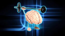 بهترین راهکار برای تقویت سلامت مغز بشناسید