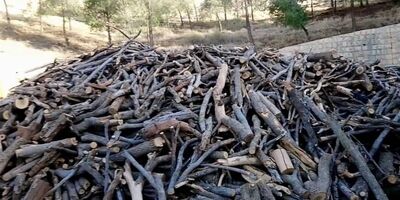 بازگشت آلمان به دوران هیزم‌سوزی برای گرم کردن منازل 