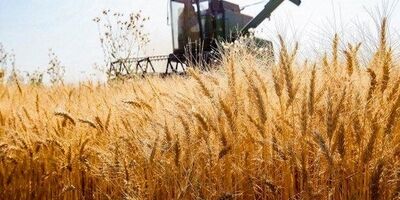 ۳ عامل اصلی تهدید امنیت غذایی چیست؟