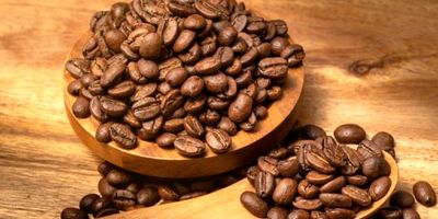 کافئین برای بدن مفید است یا ضرر دارد

