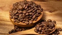 جایگزین‌های طبیعی کافئین برای انرژی و تمرکز

