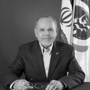 سید عمادالدین  قاضوی 