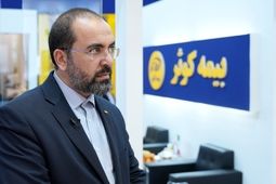 آیین نامه سرمایه‌گذاری صنعت بیمه شرکت ها را با ریسک مواجه کرده است