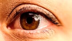چه بخوریم که به آب مروارید مبتلا نشویم؟
