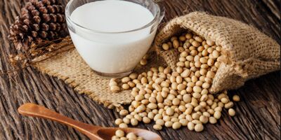 سویا برای مغز کودکان مفید است
