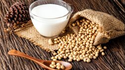 سویا برای مغز کودکان مفید است
