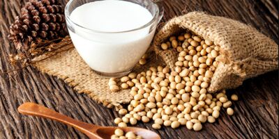سویا برای مغز کودکان مفید است
