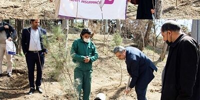 کاشت 55 نهال توسط بیمه نوین در روز درختکاری