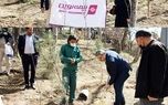 کاشت 55 نهال توسط بیمه نوین در روز درختکاری