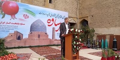 رتبه سوم تولید انار جهان در اختیار ایران است