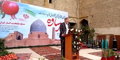 رتبه سوم تولید انار جهان در اختیار ایران است