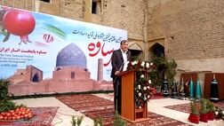 رتبه سوم تولید انار جهان در اختیار ایران است