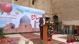 رتبه سوم تولید انار جهان در اختیار ایران است
