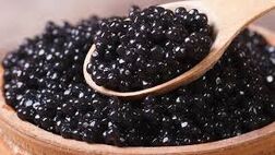 بیش از ۹۰ درصد خاویار تولیدی کشور صادر می‌شود