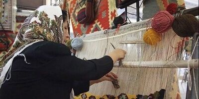 آخرین آمار بیمه‌شدگان قالیباف در کشور