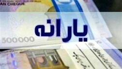 چه کسانی یارانه تشویقی ۲۲۰ هزار تومانی می‌گیرند؟ / واریز در ۱۷ بهمن