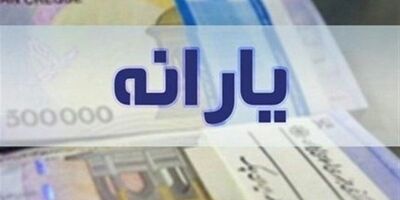 چه کسانی یارانه تشویقی ۲۲۰ هزار تومانی می‌گیرند؟ / واریز در ۱۷ بهمن