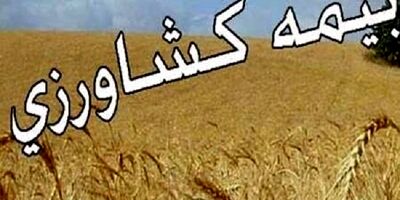 تعهدات پرداخت غرامت صندوق بیمه کشاورزی افزایش می‌یابد