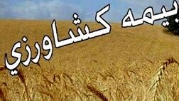 تعهدات پرداخت غرامت صندوق بیمه کشاورزی افزایش می‌یابد