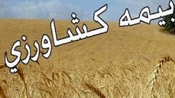 تعهدات پرداخت غرامت صندوق بیمه کشاورزی افزایش می‌یابد