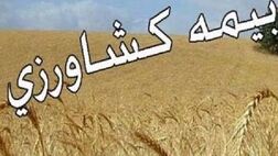 تعهدات پرداخت غرامت صندوق بیمه کشاورزی افزایش می‌یابد