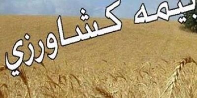 تعهدات پرداخت غرامت صندوق بیمه کشاورزی افزایش می‌یابد