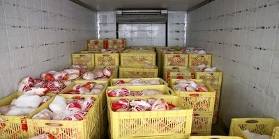 پرداخت کالابرگ به ۳ دهک اول با شیوه جدید؛ به زودی