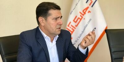 پرتفوهای خرد در شرکت‌های بیمه ماندگارتر هستند