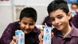 خبری از توزیع شیرمدارس نیست
