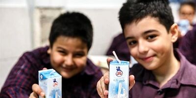 خبری از توزیع شیرمدارس نیست
