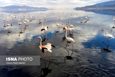 63316259_DJI_0038-copy